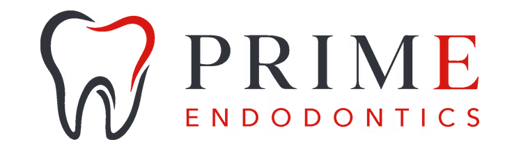 PrimeNEW 2026(1)